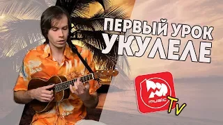 С чего начать играть на Укулеле. Строй, Аккорды и Бой