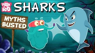 Sharks – Myths Busted | The Dr. Binocs Show | Educational Videos For Kids