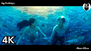 Deniz Kızına Aşık Oldu Mutlu Son.. Muhteşem Klip 2020 - SLower Brindar & Erdem KapLan - Son Dileğim
