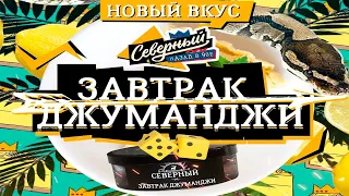 Табак Северный/НОВЫЙ ВКУС: "ЗАВТРАК ДЖУМАНДЖИ"/Обзор