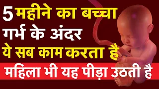 5 महीने का शिशु गर्भ में जो करता है  || Baby Development In Womb By 5th Month Of Pregnancy