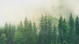 3 Hours of Beautiful Piano Relaxing Music & Calm Rain Sounds | White Noise Background | Eugene Ilin