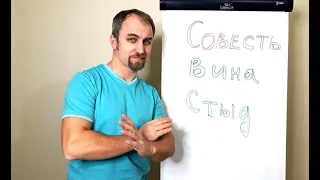 Как работает Совесть, Вина и Стыд? В чём отличие?