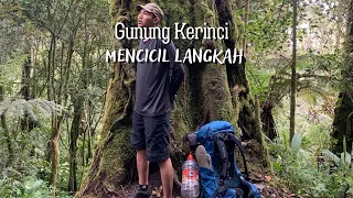 Gunung Kerinci  | Jambi  #3