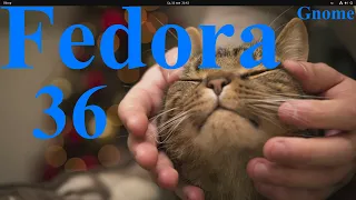 Fedora 36 (GNOME)