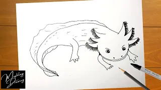 How to Draw an Axolotl Step by Step