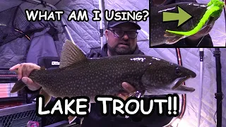 Ice Fishing Lake Trout | Giant Ugly Green Lure!