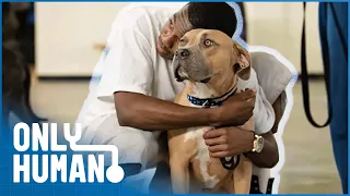 Prison Dogs Programme: Allowing Inmates To Train and Care for Puppies | Only Human