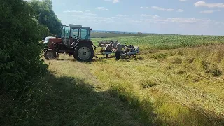 почали косити гречку. перший прохід