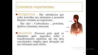 AULA 02 - Nutrição e Dietética - Introdução a Nutrição e Nutrientes. - "Prof.: Mário Yumsz".