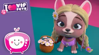 🌘🤞 Затмение желаний 🌘🤞 ВИП ПЕТС 🌈 VIP PETS 🌈 ПОЛНЫЕ Эпизоды 🤩 Мультики на РУССКОМ языке 💇