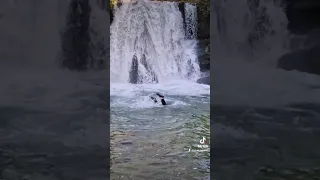 Winter Wild Swim Janet's Foss, Yorkshire Dales