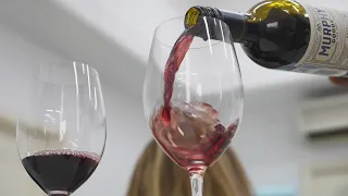 Как проходят дегустации вина для любителей в Школе сомелье WineState