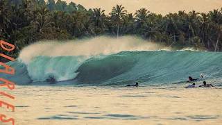 The First Swell of the Year | Mentawai Diaries