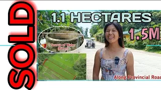 #Vlog32 | 1.1 HECTARES | Along Provincial Road + Maraming Tanim | MAY MALAKING TUBIGAN | 1.5M