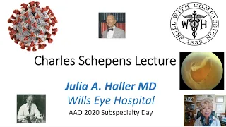 Dr. Julia A. Haller's Charles Schepens Lecture November 2020