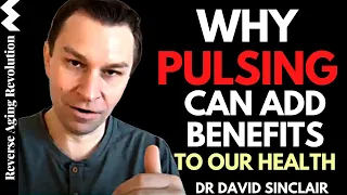 Why PULSING Can Add BENEFITS To Our HEALTH | Dr David Sinclair Interview Clips