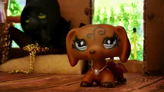 Littlest Pet Shop:☠Roza☠ (Episode #16: A new home)