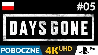Days Gone PL 🌄 #5 (odc.5 Poboczne) 🛵 Delfin i gniazda | Gameplay po polsku 4K