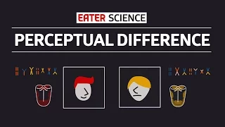 Why Does Everyone Taste Food Differently?