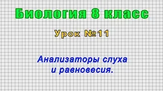 Биология 8 класс (Урок№11 - Анализаторы слуха и равновесия.)