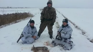 Охота на зайца и не только  23.01.2017 / Hunting the Hare!!!