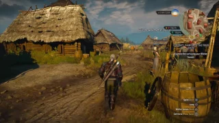 The Witcher 3: Wild Hunt Idiots