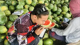 Water Melon Farm "PAKWAN" | Pampanga