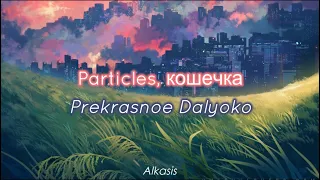 Particles, кошечка - Prekrasnoe Dalyoko (Sub Español/Bielorruso)