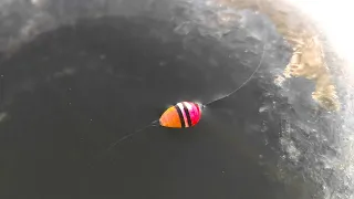 Зимняя рыбалка - монстры под водой... Караси и сазаны ходят тучей