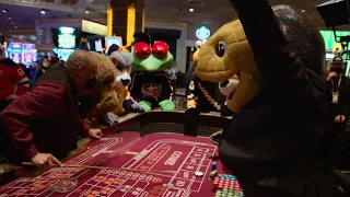 NHL Mascots play craps