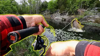 Top 5 CRAZIEST Fishing Moments of 2023