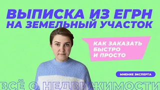 Выписка из ЕГРН на земельный участок | Как она выглядит, зачем нужна и где заказать быстрее всего.