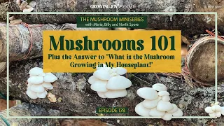 178 Mushrooms 101: The Basics About Fungi | Growing Joy with Plants | Podcast