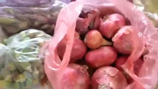 احلى جوله في سوق الخميس🍆 عندنا ان شاء الله الفيديو يعجبكم جدا ومشتريات🍋 السوق وبالاسعار🍉