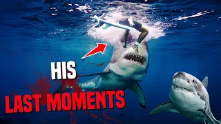 The Gruesome Last Seconds of Bradley Smith: Eaten By 2 Sharks