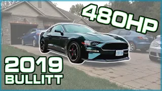 2019 Ford Mustang BULLITT First Drive Reaction (I NEED a V8 in my life now)