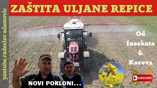 ZAŠTITA ULJANE REPICE:OD INSEKATA & KOROVA - NOVI POKLONI ;OIL RAPE PROTECTION: FROM INSECTS & WEEDS