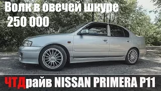 Автомобиль за 250 тыс.который ВАЛИТ  Nissan Primera Р11 со злым мотором SR20DET