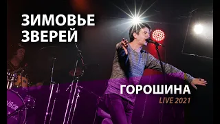 Зимовье Зверей | Горошина | Live 2021 | Константин Арбенин