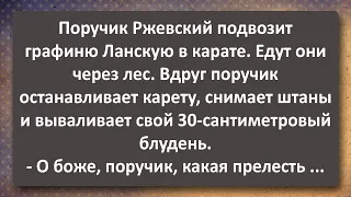 Поручик Ржевский Показал Графине Ланской свой Блудень! Сборник Самых Свежих Анекдотов! Юмор!