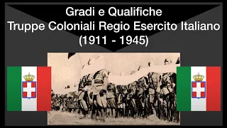 Gradi e Qualifiche Truppe Coloniali Regio Esercito Italiano (1911 - 1945)