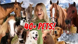 FEEDING ALL MY PETS AT THE NEW FARM! 40+ PETS ROUTINE