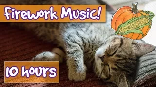 Firework Music for Cats! Relaxing Music for Cats Scared of Fireworks on Thanksgiving, New Years Eve!