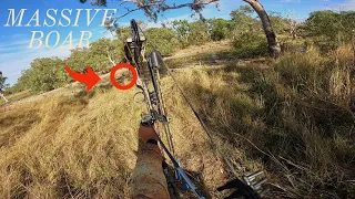 BOW HUNTING WILD BOARS/HOGS AUSTRALIA