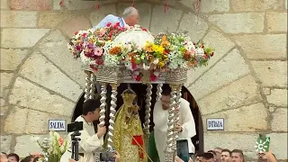 Romería Virgen de la Cabeza | Andújar 2023
