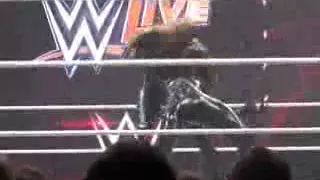 goldust cross rhodes