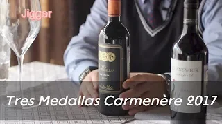 Отличное вино для мяса по-французски. Tres Medallas Carmenère 2017