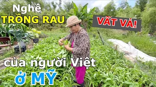 CUỘC GẶP GỠ BẤT NGỜ VỚI NGƯỜI VIỆT LÀM NGHỀ TRỒNG & BÁN RAU Ở MIỀN NHIỀU MƯA BÃO NHẤT NƯỚC MỸ