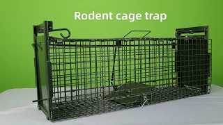 Collapsible Squirrels Rabbits Skunks Mink Trap Cage 2010-S